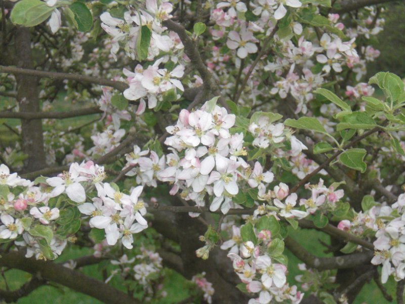 JekaD6OpStapJoost (151)